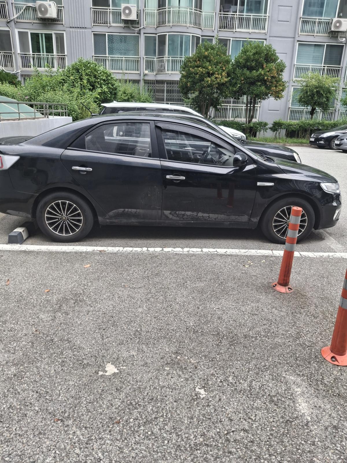 Forte 1.6 LPG Hybrid 2011