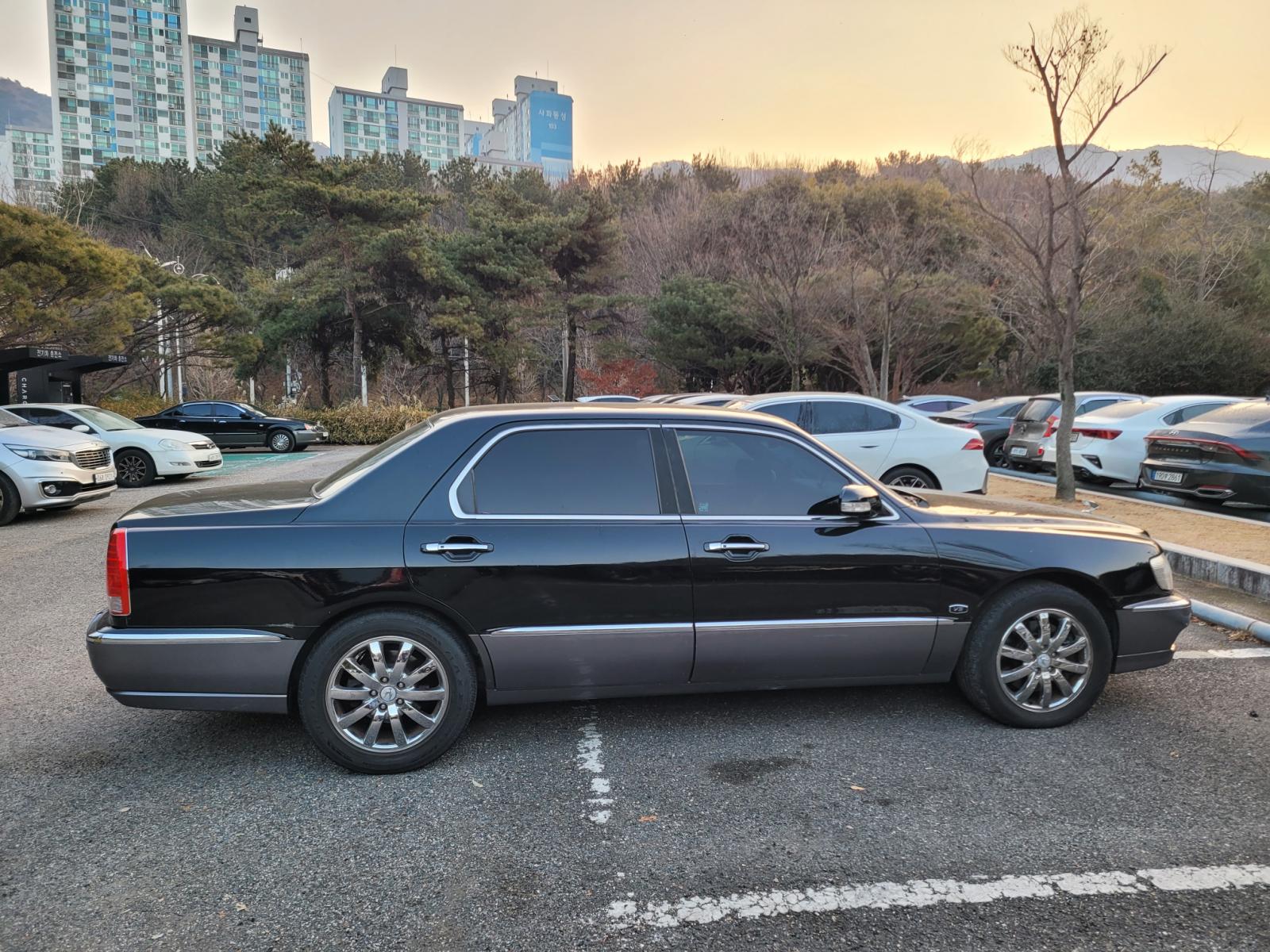 hc:1784931537_48278_4.jpg