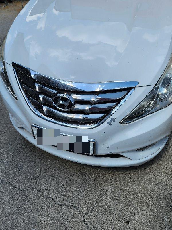 Hyundai Sonata 2.0(LPG) 2010