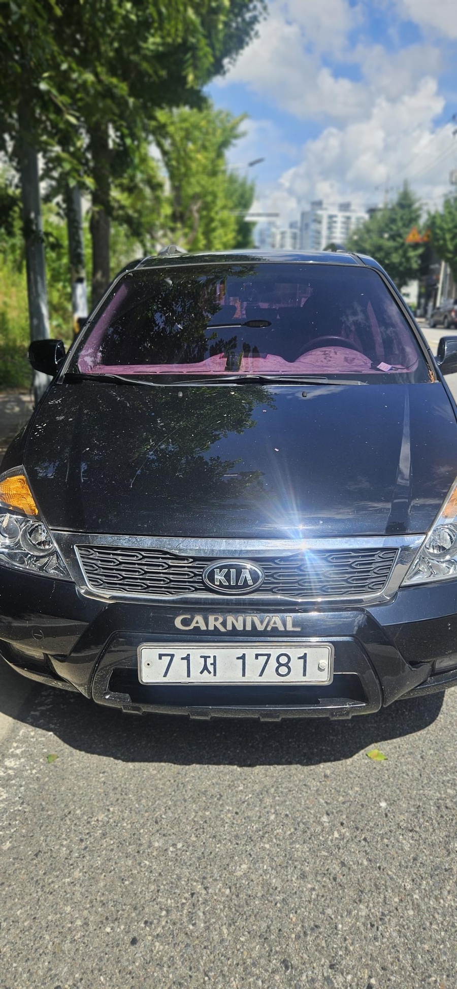 Kia CARNIVAL R 2.2 2013