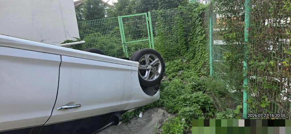 hc:1785228647_52785_.jpg