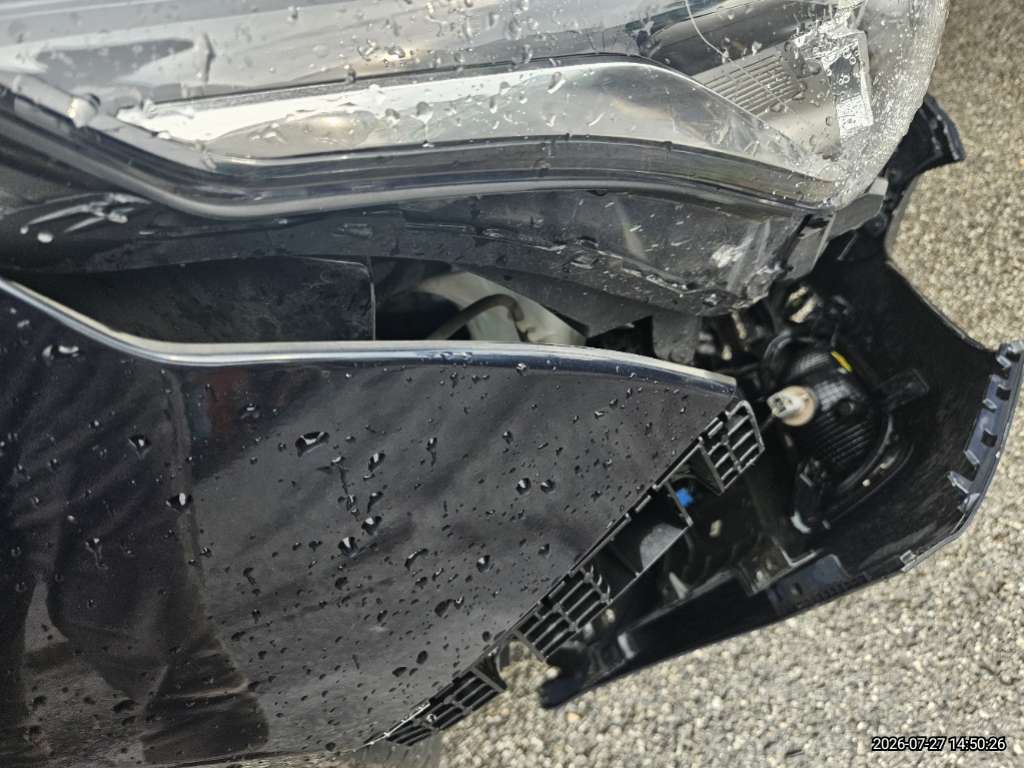 Kia K3 2019