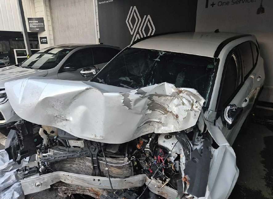 Grand Koleos 하이브리드 2024