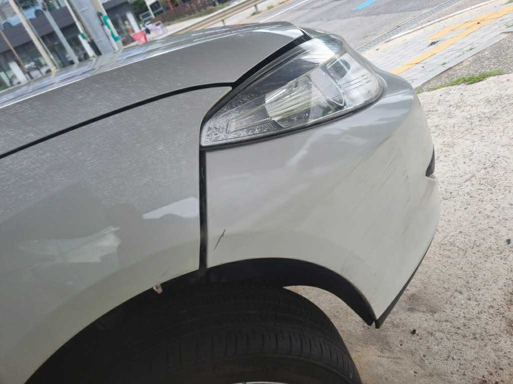 Renault Samsung SM3 2010