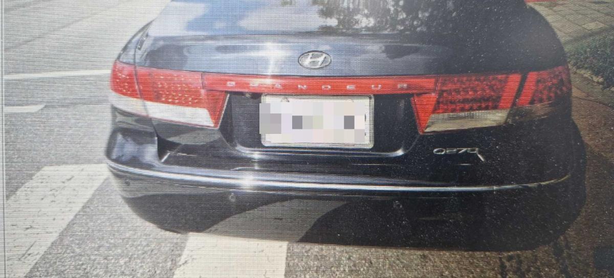 Hyundai Grandeur 2007