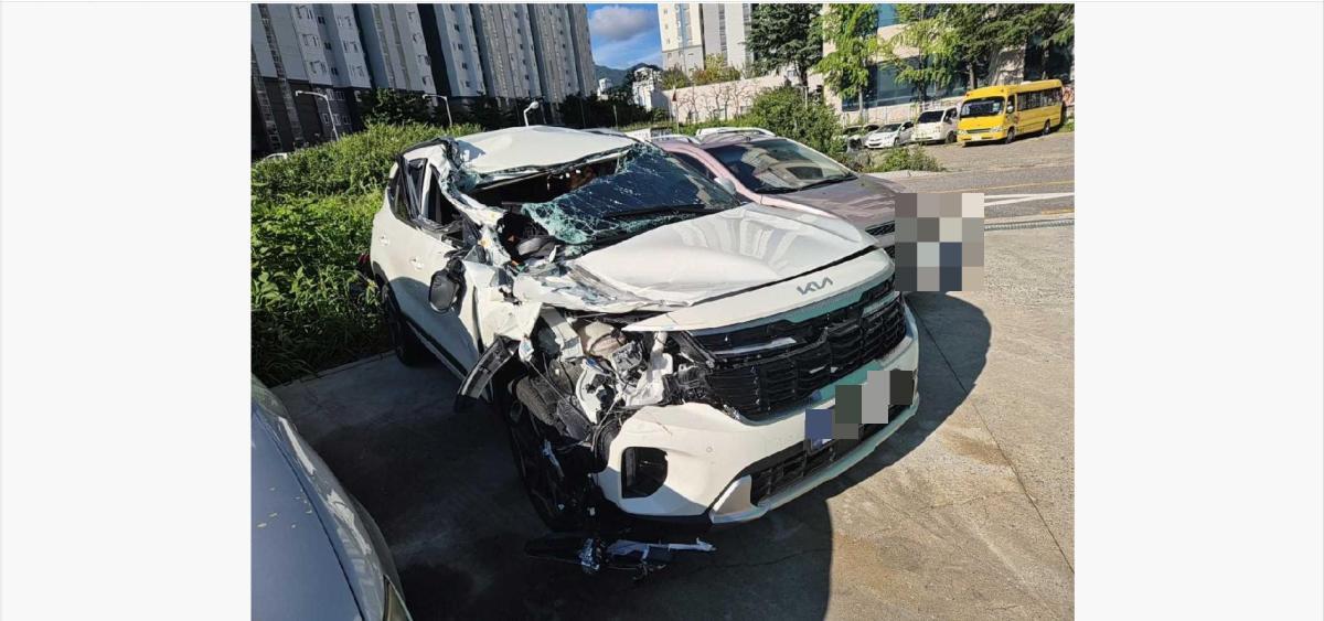 Kia SELTOS 1.6 2026
