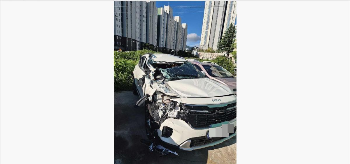 Kia SELTOS 1.6 2026