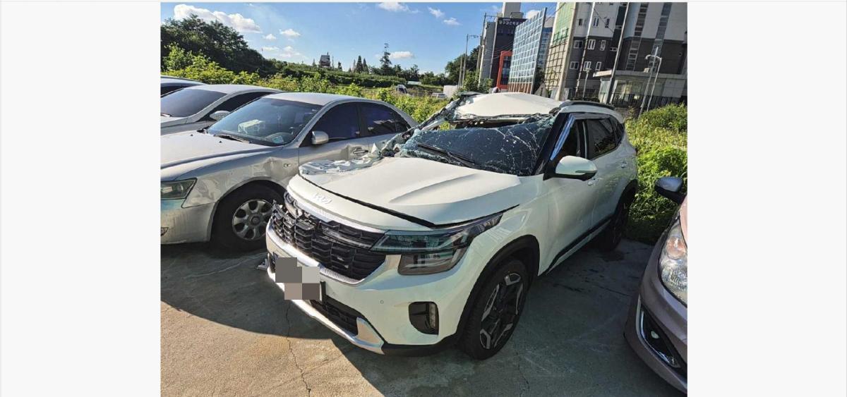 Kia SELTOS 1.6 2026
