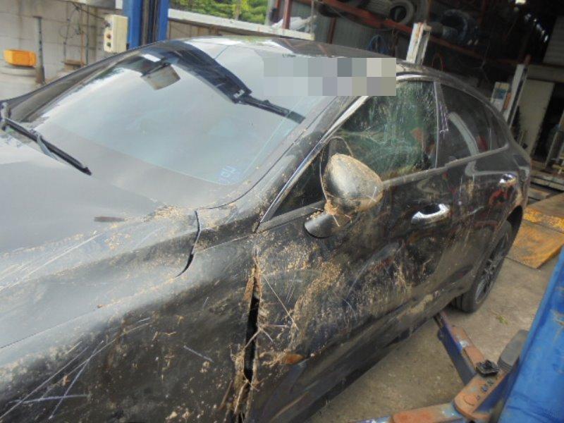 Kia K5 2020