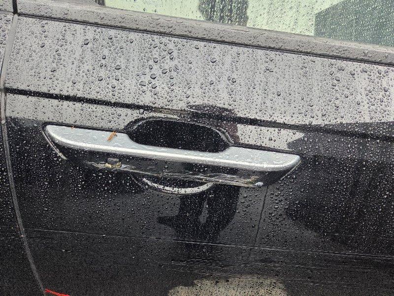 Kia CARNIVAL 9인승 2.2 2024