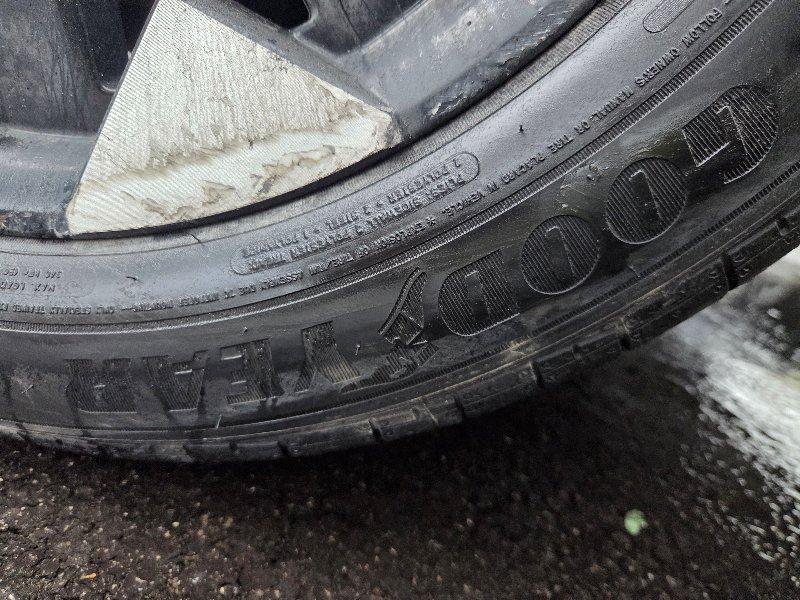 Kia CARNIVAL 9인승 2.2 2024