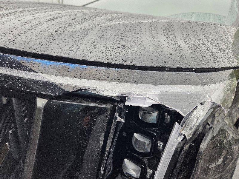 Kia CARNIVAL 9인승 2.2 2024