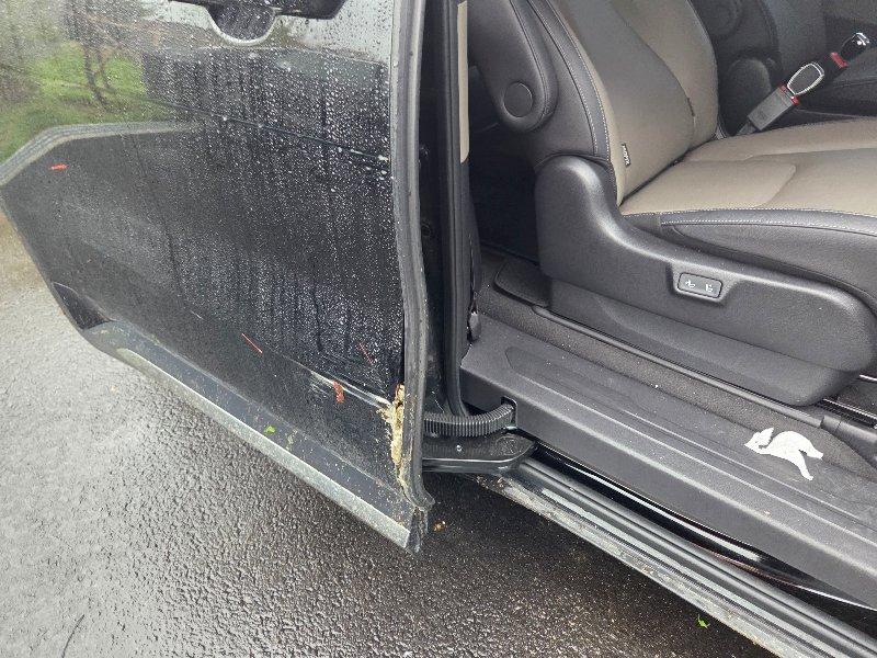 Kia CARNIVAL 9인승 2.2 2024