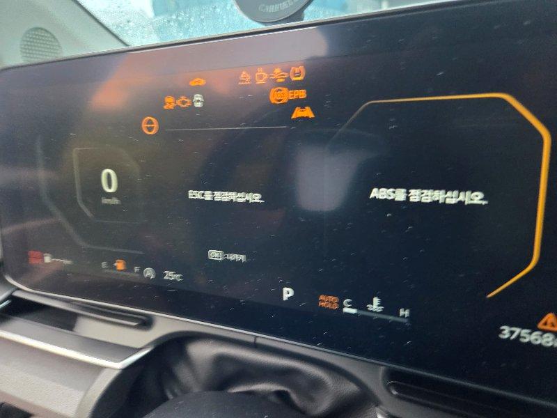 Kia CARNIVAL 9인승 2.2 2024