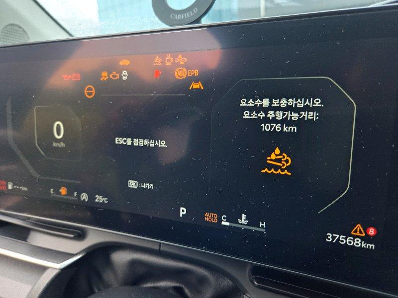 Kia CARNIVAL 9인승 2.2 2024