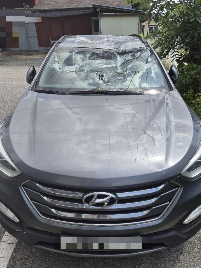 Hyundai SANTA FE DM 4WD 2012