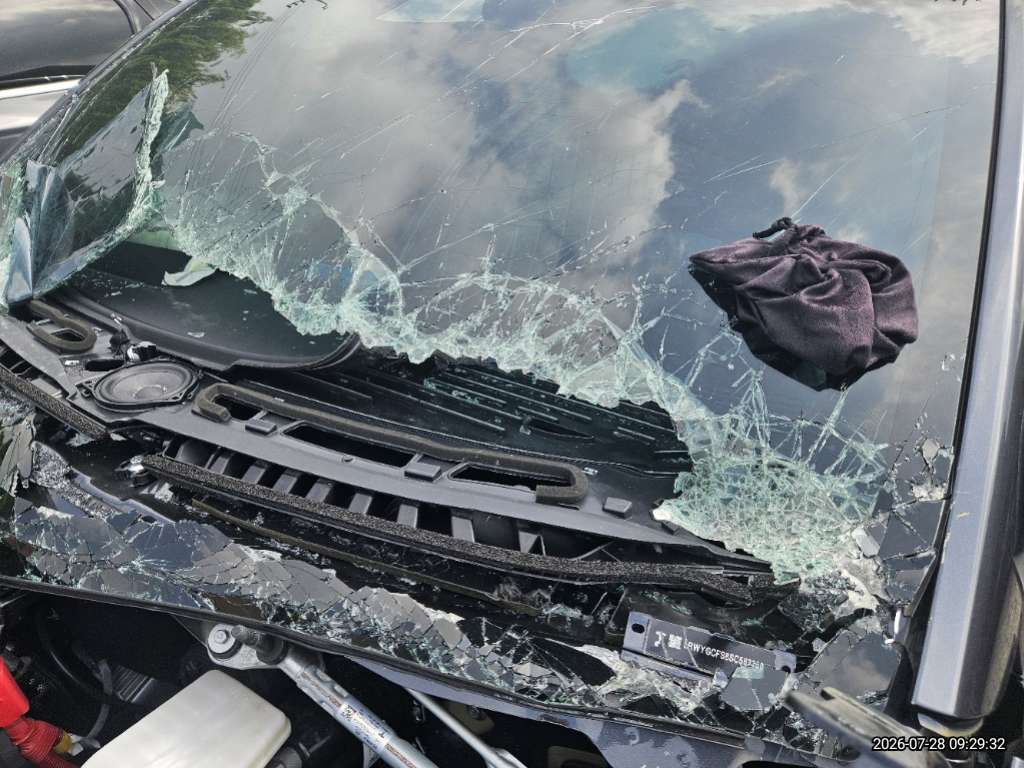 hc:1785387782_58439_.jpg