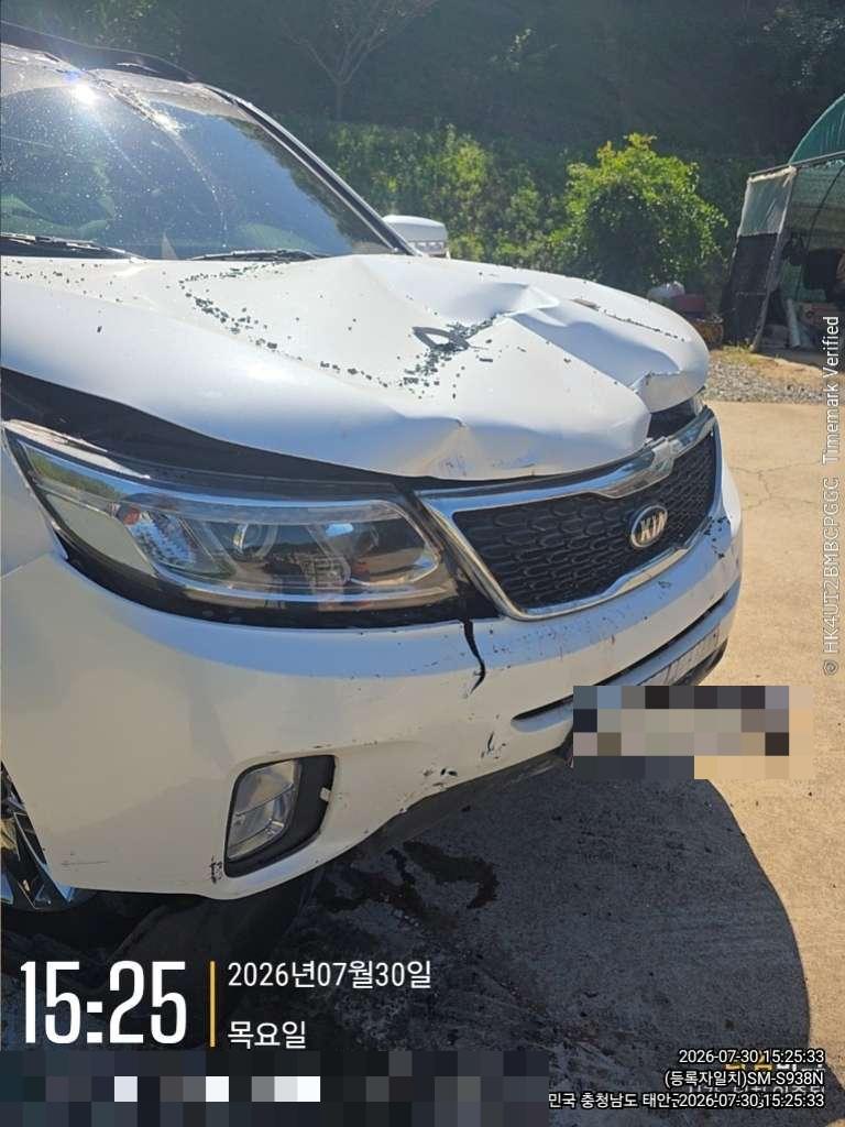 hc:1785472449_36339_.jpg