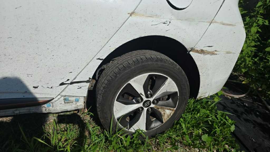 hc:1785910835_14128_.jpg