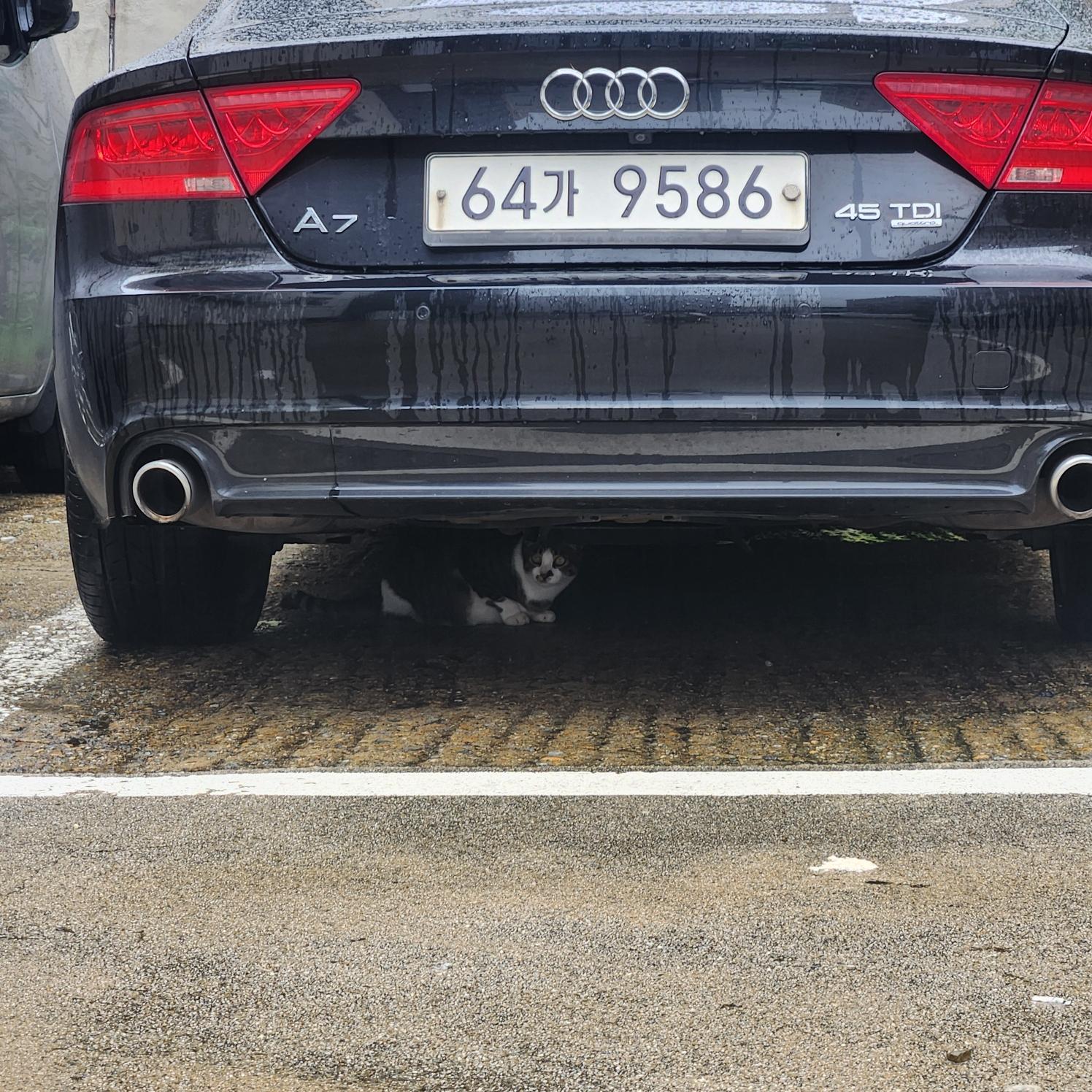 Audi Audi A7 45 TDI Quattro