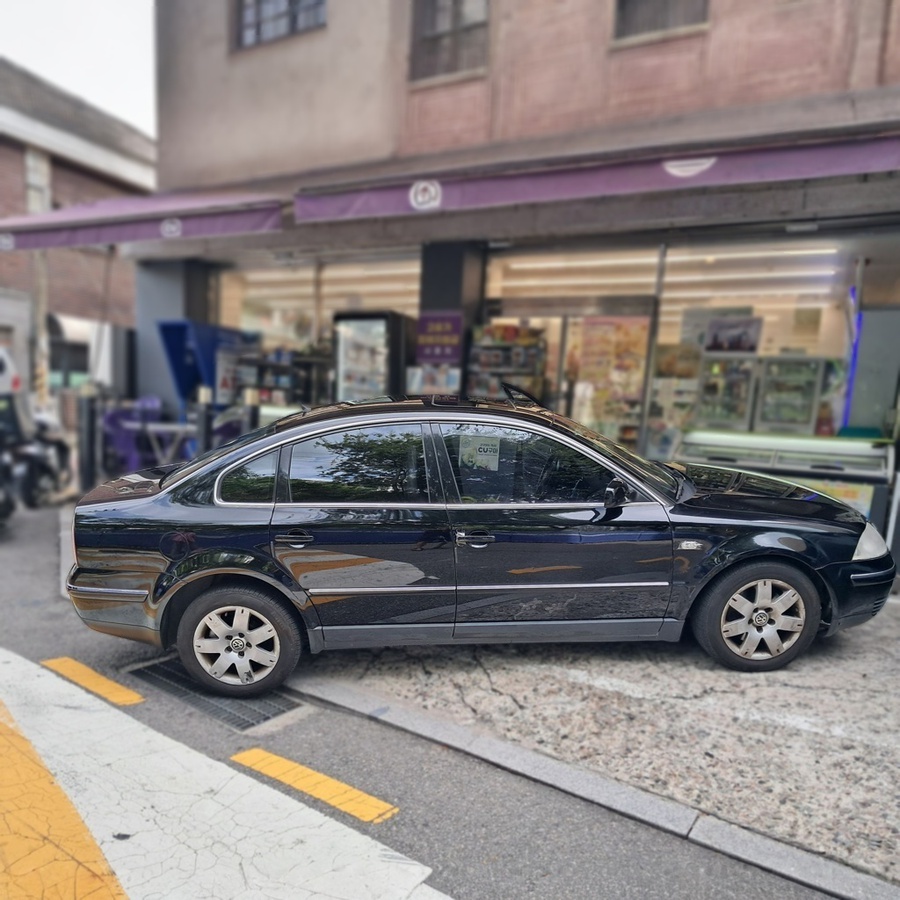 Volkswagen Volkswagen Passat 2.8 V6 4MOTION