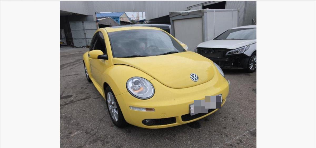 Volkswagen Volkswagen New Beetle 2.0