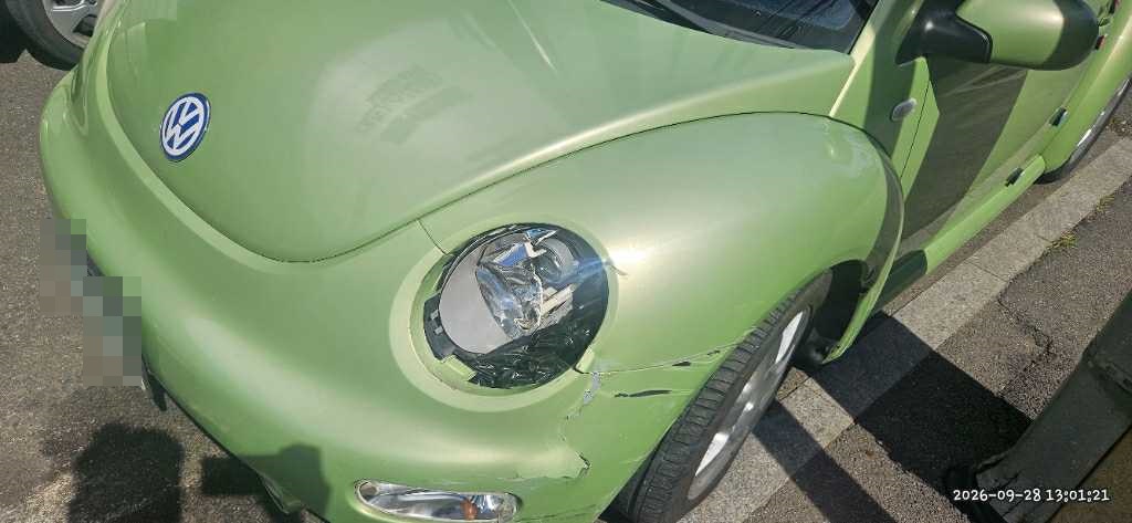 Volkswagen Volkswagen New Beetle 2.0