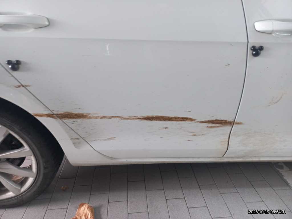 Volkswagen Volkswagen Golf 1.6 TDI BMT